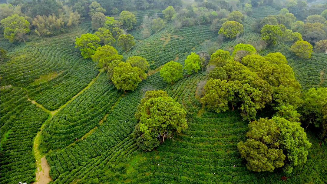 微信圖片_20250319102714.png 微信圖片_20250319102714.png